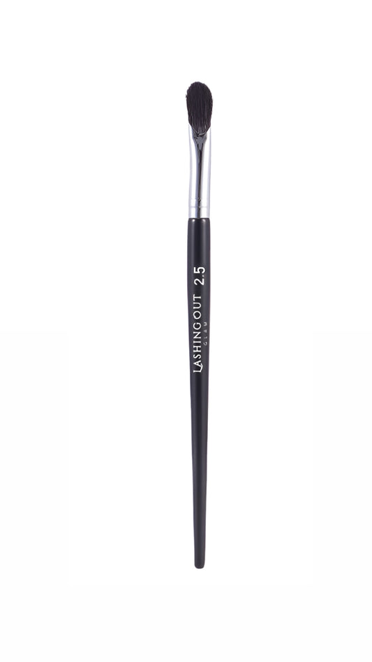 2.5 Brush
