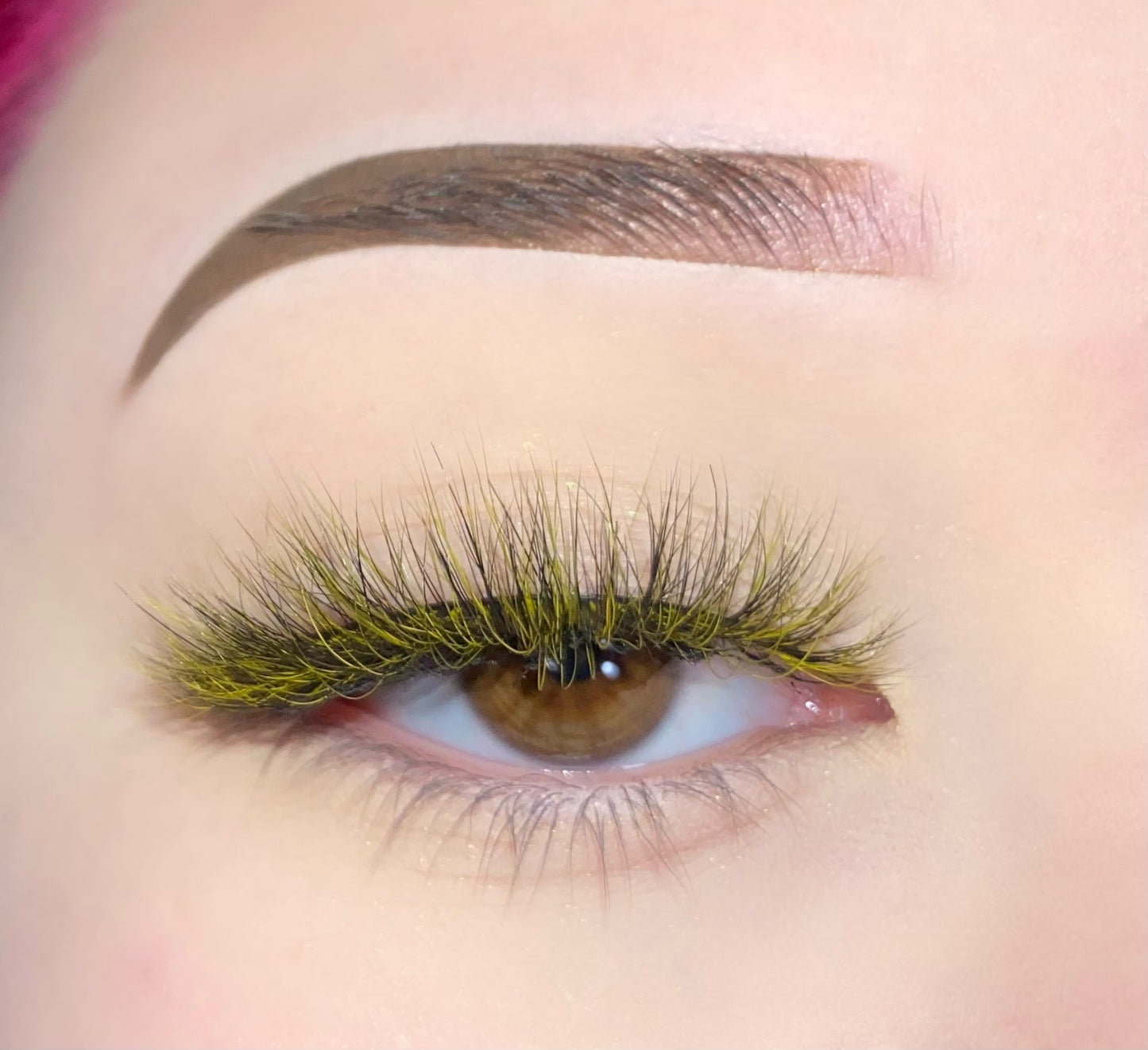 Bumblebee Lash