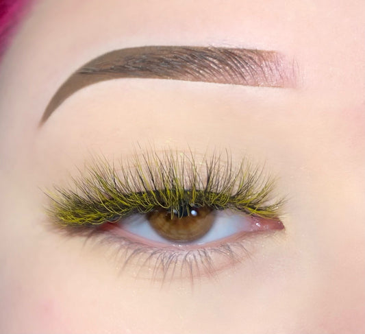 Bumblebee Lash