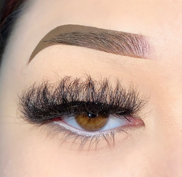VP Lash