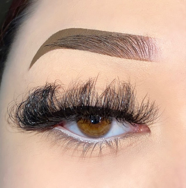 Secretary Lash