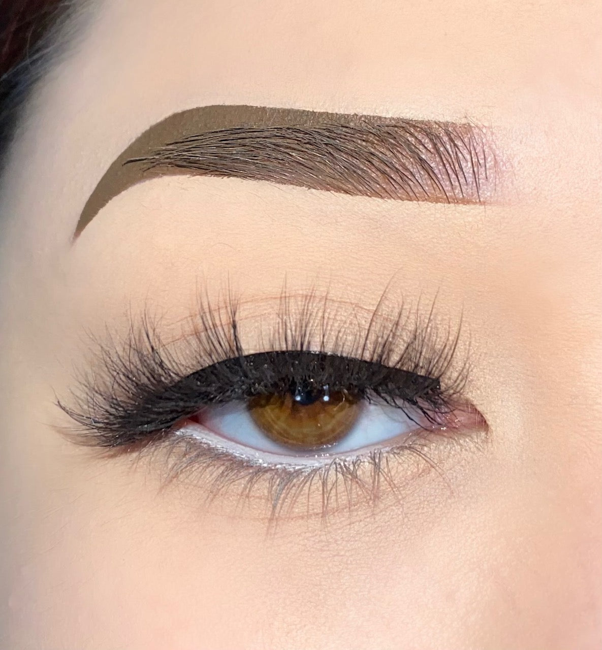 Shy Lash