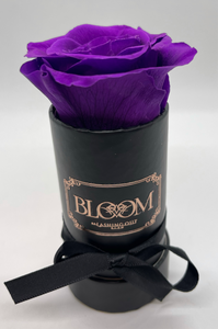 The Petit BLOOM COLLECTION