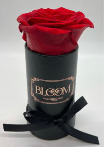 The Petit BLOOM COLLECTION