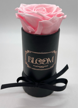 Load image into Gallery viewer, The Petit BLOOM COLLECTION