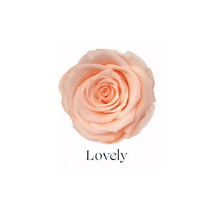 Small - 4 Roses (White Square Box)