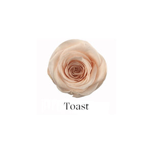 Small - 4 Roses (White Square Box)